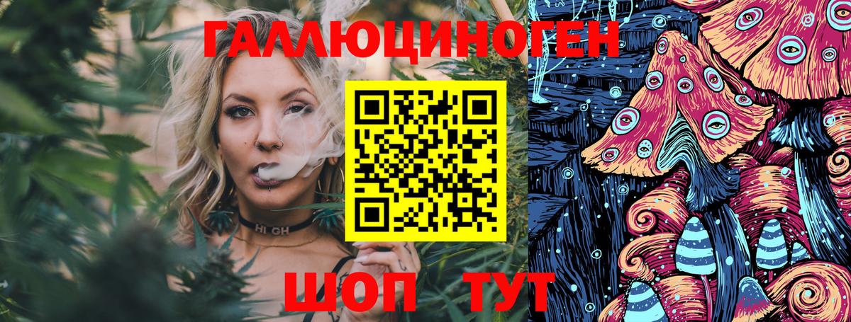 Псилоцибиновые грибы Cubensis Клин